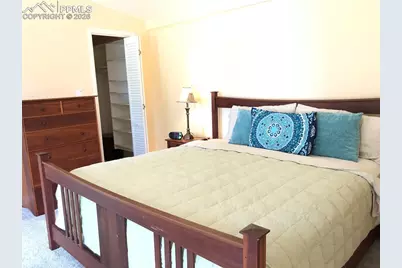 169 Daisy Street, Woodland Park, CO 80863 - Photo 7