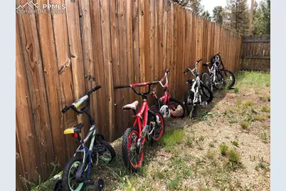 169 Daisy Street, Woodland Park, CO 80863 - Photo 21