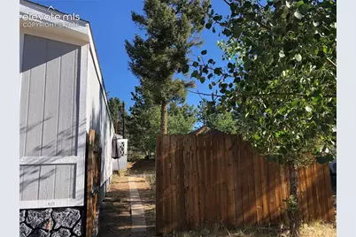 169 Daisy Street, Woodland Park, CO 80863 - Photo 17