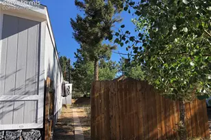169 Daisy St, Woodland Park, CO 80863 - Photo 17