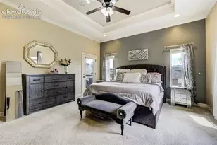 13258 Dominus Way, Colorado Springs, CO 80921 - Photo 21
