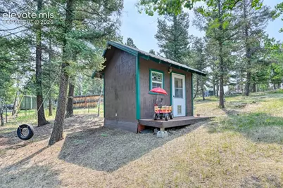 53 Iris Road, Woodland Park, CO 80863 - Photo 31