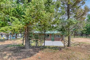 53 Iris Rd, Woodland Park, CO 80863 - Photo 43