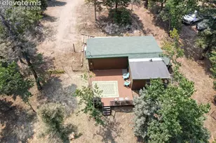 53 Iris Rd, Woodland Park, CO 80863 - Photo 47