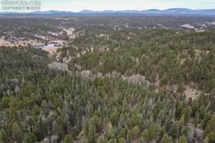 53 Iris Rd, Woodland Park, CO 80863 - Photo 49