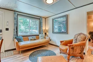 53 Iris Rd, Woodland Park, CO 80863 - Photo 17