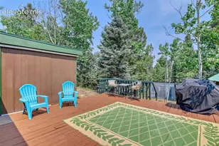 53 Iris Rd, Woodland Park, CO 80863 - Photo 41