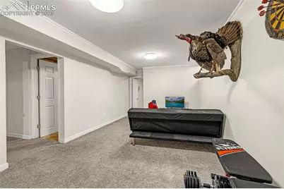 2522 Ivanhoe Drive, Colorado Springs, CO 80911 - Photo 17