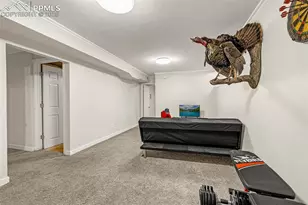 2522 Ivanhoe Dr, Colorado Springs, CO 80911 - Photo 17