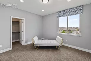2015 Walnut Creek Ct, Colorado Springs, CO 80921 - Photo 23