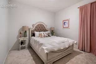 5689 Mammoth Ln, Colorado Springs, CO 80927 - Photo 29