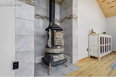 163 Big Horn Lane, Florissant, CO 80816 - Photo 7