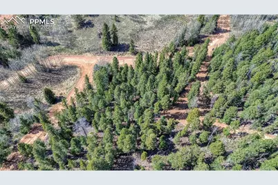 3075 N Mountain Estates Road, Florissant, CO 80816 - Photo 3