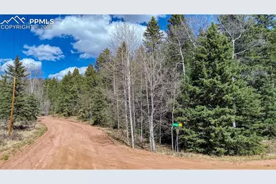 3075 N Mountain Estates Road, Florissant, CO 80816 - Photo 17