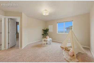 6266 Finglas Drive, Colorado Springs, CO 80923 - Photo 21