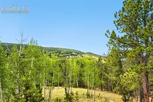 507 Yorktown Rd, Cripple Creek, CO 80813 - Photo 31