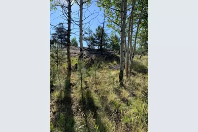 330 Arrowhead Drive, Florissant, CO 80816 - Photo 5