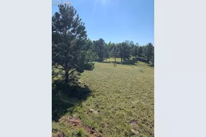 330 Arrowhead Drive, Florissant, CO 80816 - Photo 7