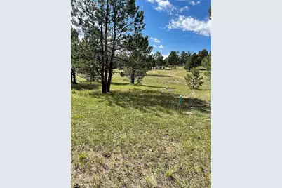 330 Arrowhead Drive, Florissant, CO 80816 - Photo 25