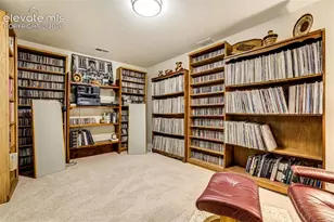 5110 Walking Horse Point, Colorado Springs, CO 80923 - Photo 41