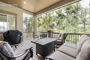 968 Tree Bark Terrace, Monument, CO 80132 - Photo 39