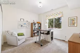 968 Tree Bark Terrace, Monument, CO 80132 - Photo 31