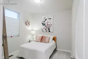 8091 Goldenray Pl, Colorado Springs, CO 80908 - Photo 13