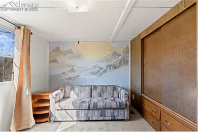 374 Fern Road, Woodland Park, CO 80863 - Photo 17