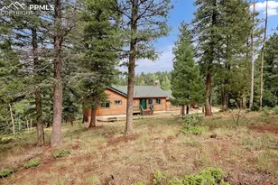 958 Cottonwood Lake Dr, Divide, CO 80814 - Photo 5