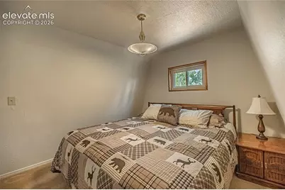 76 Pine Drive, Woodland Park, CO 80863 - Photo 29