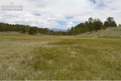 344 Valley Road, Guffey, CO 80820 - Photo 15