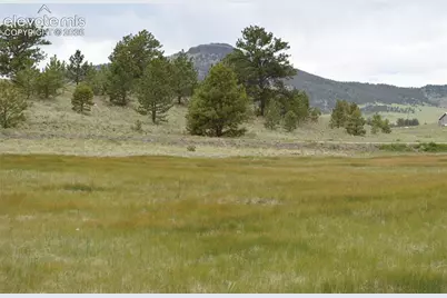 344 Valley Road, Guffey, CO 80820 - Photo 5