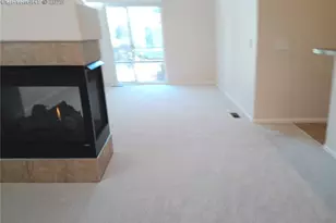 5420 Seal Alley, Colorado Springs, CO 80924 - Photo 9