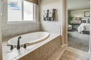 6017 Miller Run Pl, Colorado Springs, CO 80924 - Photo 25