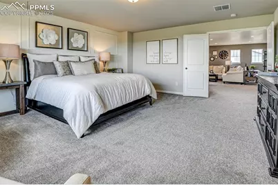 6017 Miller Run Place, Colorado Springs, CO 80924 - Photo 21