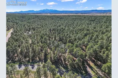 4475 Wavy Oak Drive, Colorado Springs, CO 80908 - Photo 45