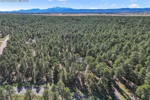 4475 Wavy Oak Dr, Colorado Springs, CO 80908 - Photo 45