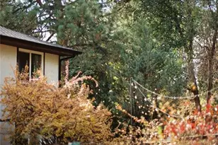 5242 Constitution Ave, Colorado Springs, CO 80915 - Photo 41