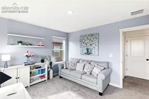 5118 Janga Dr, Colorado Springs, CO 80924 - Photo 19