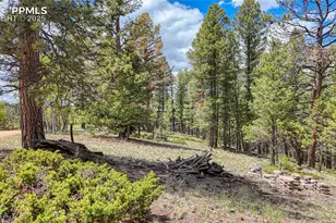 26 N Eldorado Circle, Florissant, CO 80816 - Photo 1