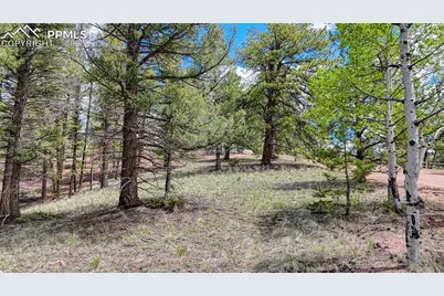 26 N Eldorado Circle, Florissant, CO 80816 - Photo 11