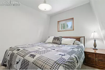 76 Pine Drive, Woodland Park, CO 80863 - Photo 21