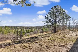 1550 Mt Woodmen Ct, Colorado Springs, CO 80919 - Photo 49