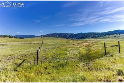 281 County Road 98, Florissant, CO 80816 - Photo 21