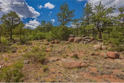 15505 S Cuerno Verde View, Colorado Springs, CO 80926 - Photo 7