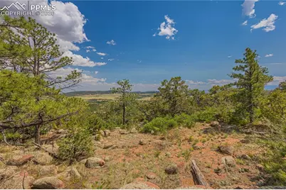 15505 S Cuerno Verde View, Colorado Springs, CO 80926 - Photo 9