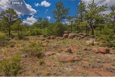 15505 S Cuerno Verde View, Colorado Springs, CO 80926 - Photo 11