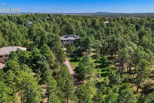 17075 Viscount Ct, Monument, CO 80132 - Photo 49
