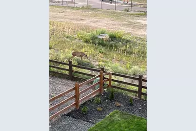 16462 Mountain Flax Drive, Monument, CO 80132 - Photo 37
