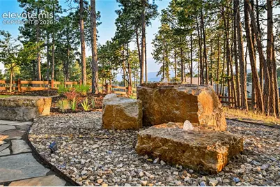 16526 Dancing Bear Lane, Monument, CO 80132 - Photo 17